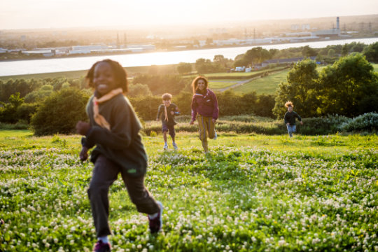 Cubs outdoors